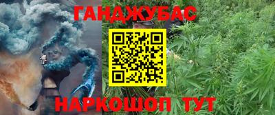прущая мука Будённовск